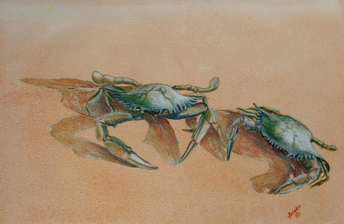 Blue Crabs