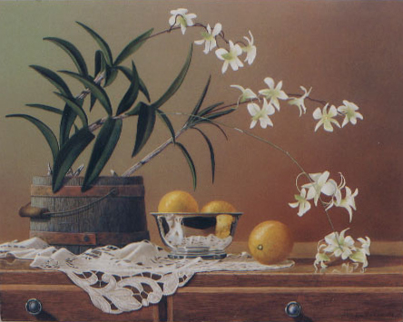 White Dendrobium